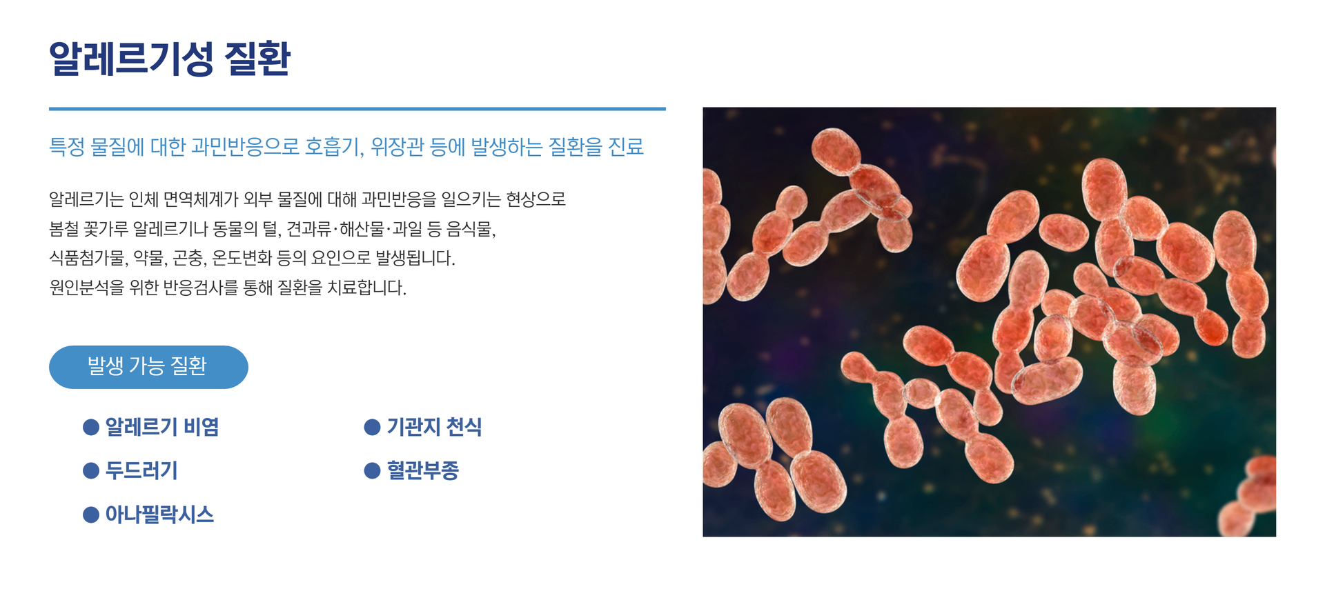 내과진료7.png